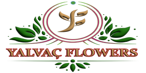 Yalvaç Flowers